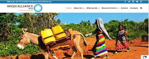 Website Design and Development in Kenya